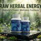 Prolan – Advanced Prostate Health & Maximum Care